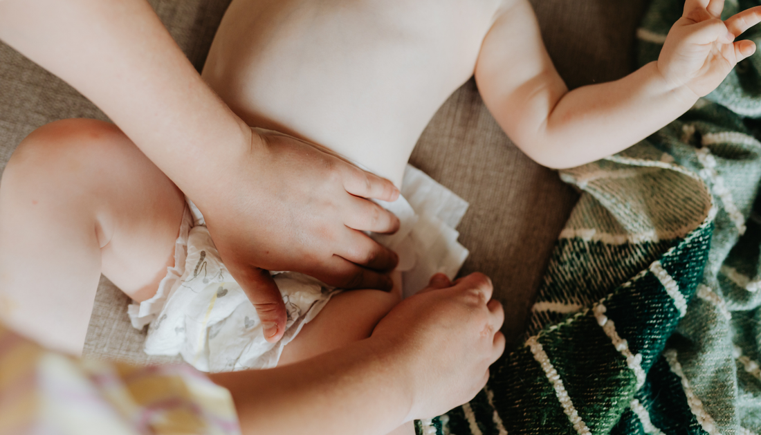 Tired of diaper rash? How Camellia extract keeps your baby’s skin happy?