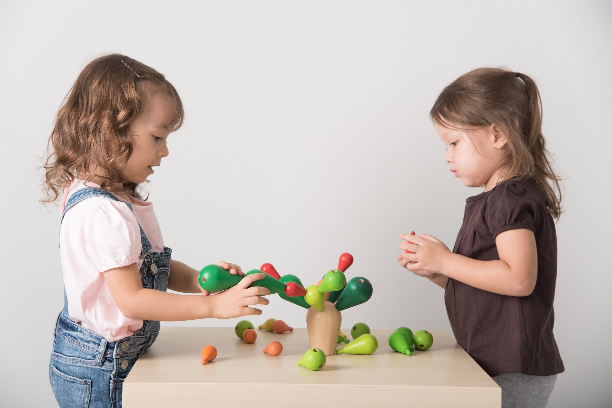 PlanToys - Balancing Cactus