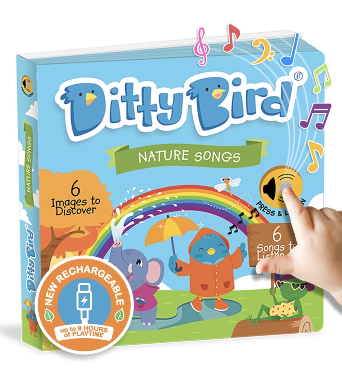 Ditty Bird