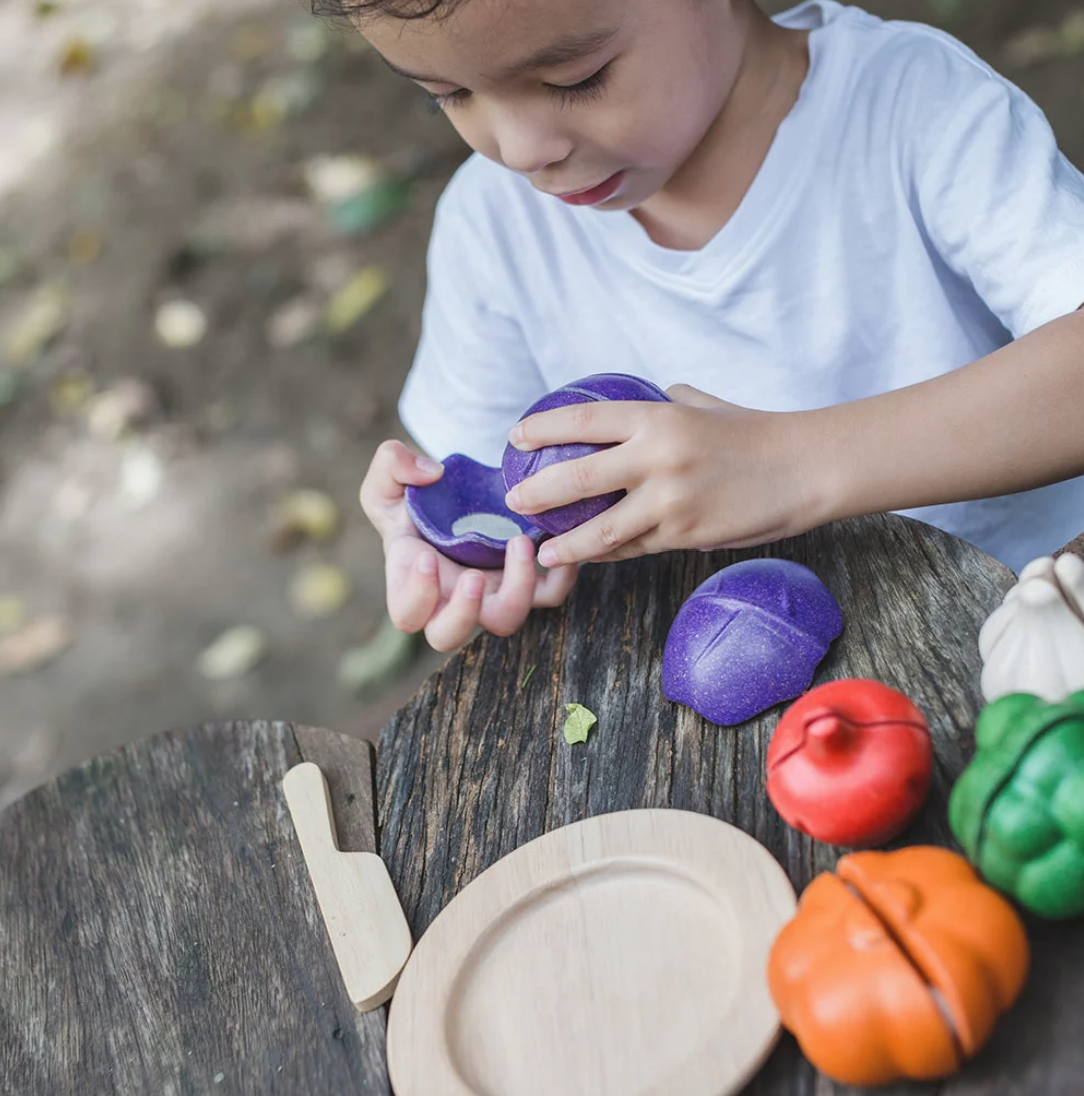 Plantoys - 5 Colors Veggie Set