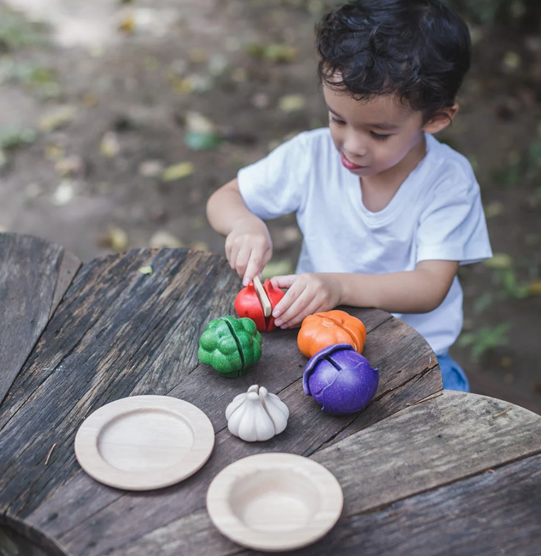 Plantoys - 5 Colors Veggie Set