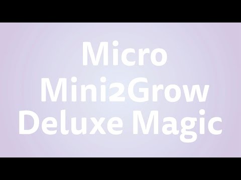 Micro Mini2Grow 魔幻LED滑板车
